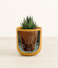 Load image into Gallery viewer, Sunset Orange stand:all