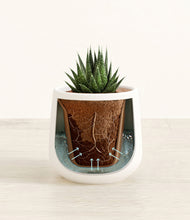 Load image into Gallery viewer, White stand:all