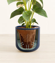 Load image into Gallery viewer, Twilight Blue stand:all