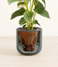 Load image into Gallery viewer, Iron Gray stand:all