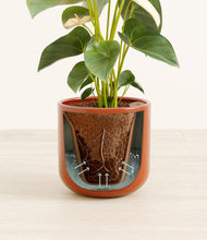 Load image into Gallery viewer, Glossy Red stand:all