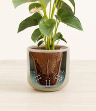 Load image into Gallery viewer, Sage Green stand:all