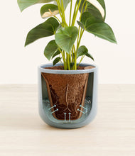 Load image into Gallery viewer, Misty Blue stand:all