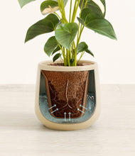 Load image into Gallery viewer, Almond Green stand:all