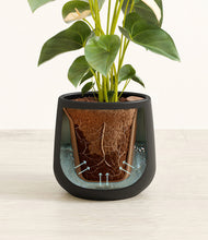 Load image into Gallery viewer, Black stand:all