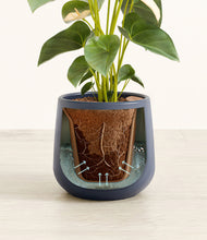 Load image into Gallery viewer, Deep Navy stand:all