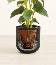 Load image into Gallery viewer, Stone Black stand:all