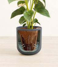 Load image into Gallery viewer, Iron Gray stand:all