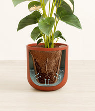 Load image into Gallery viewer, Earth Red stand:all