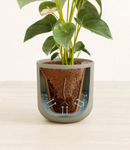 Load image into Gallery viewer, Sage Green stand:all