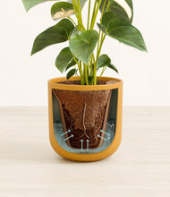 Load image into Gallery viewer, Sunset Orange stand:all