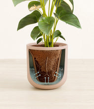 Load image into Gallery viewer, Sandy Pink stand:all