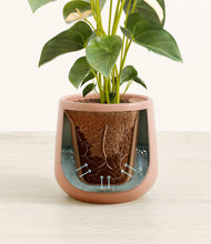 Load image into Gallery viewer, Calm Rose stand:all