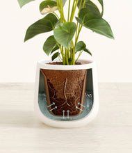 Load image into Gallery viewer, White stand:all