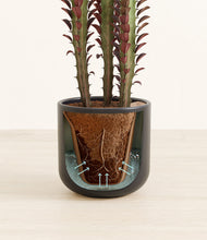 Load image into Gallery viewer, Stone Black stand:all