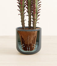 Load image into Gallery viewer, Iron Gray stand:all