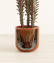 Load image into Gallery viewer, Glossy Red stand:all