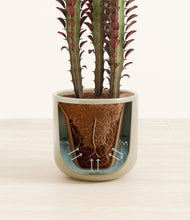 Load image into Gallery viewer, Sage Green stand:all