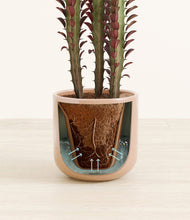 Load image into Gallery viewer, Glossy Pink stand:all