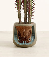 Load image into Gallery viewer, Olive stand:all