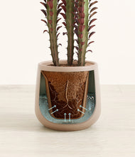 Load image into Gallery viewer, Eternal Gray stand:all