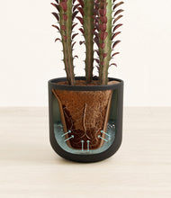 Load image into Gallery viewer, Stone Black stand:all