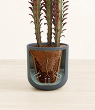 Load image into Gallery viewer, Iron Gray stand:all