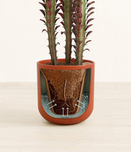 Load image into Gallery viewer, Earth Red stand:all