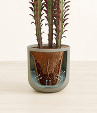 Load image into Gallery viewer, Sage Green stand:all