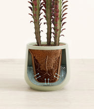 Load image into Gallery viewer, Turquoise stand:all