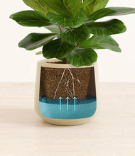 Load image into Gallery viewer, Almond Green