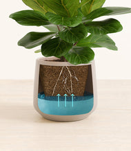 Load image into Gallery viewer, Eternal Gray