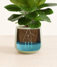 Load image into Gallery viewer, Turquoise