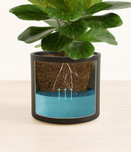 Load image into Gallery viewer, Black