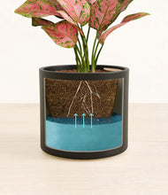 Load image into Gallery viewer, Black