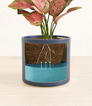 Load image into Gallery viewer, Deep Navy