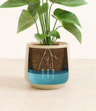 Load image into Gallery viewer, Almond Green