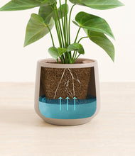 Load image into Gallery viewer, Eternal Gray