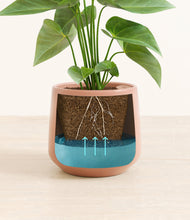 Load image into Gallery viewer, Calm Rose