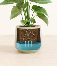 Load image into Gallery viewer, Turquoise