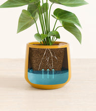 Load image into Gallery viewer, Mustard