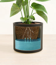 Load image into Gallery viewer, Black