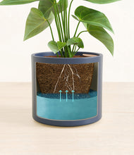 Load image into Gallery viewer, Deep Navy