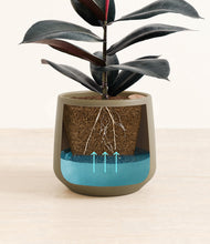 Load image into Gallery viewer, Olive