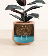 Load image into Gallery viewer, Calm Rose