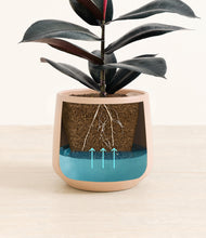 Load image into Gallery viewer, Gentle Pink