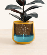 Load image into Gallery viewer, Mustard