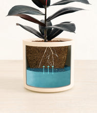 Load image into Gallery viewer, Cream