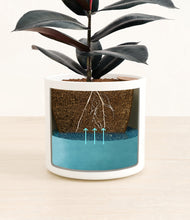 Load image into Gallery viewer, White