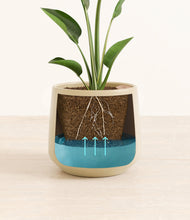 Load image into Gallery viewer, Almond Green